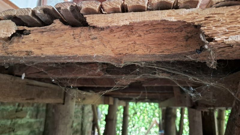 Structural Wood Beam Repair