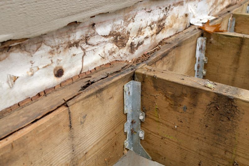 Structural Wood Beam Repair