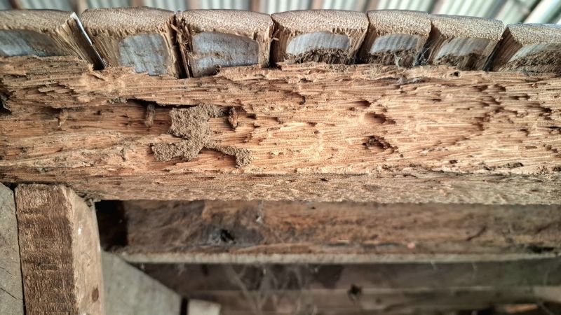 Structural Wood Beam Repair